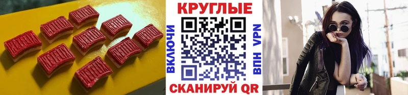 Ecstasy Philipp Plein закладка Вязьма