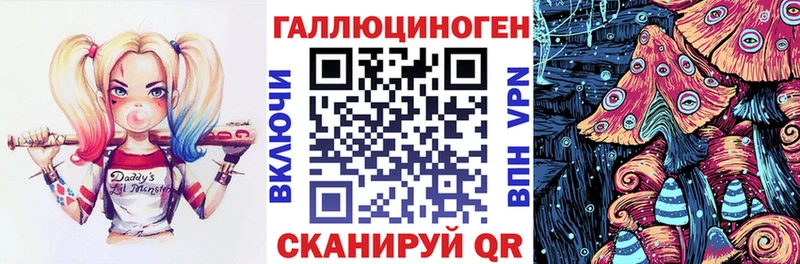 Псилоцибиновые грибы Cubensis  Вязьма 
