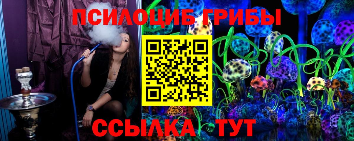 Вязьма  Галлюциногенные грибы MAGIC MUSHROOMS  Вход с VPN 